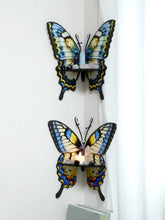 FloralWing - Geschilderde Drijvende Crystal Display Plank, Hoek Wanddecoratie voor Thuis